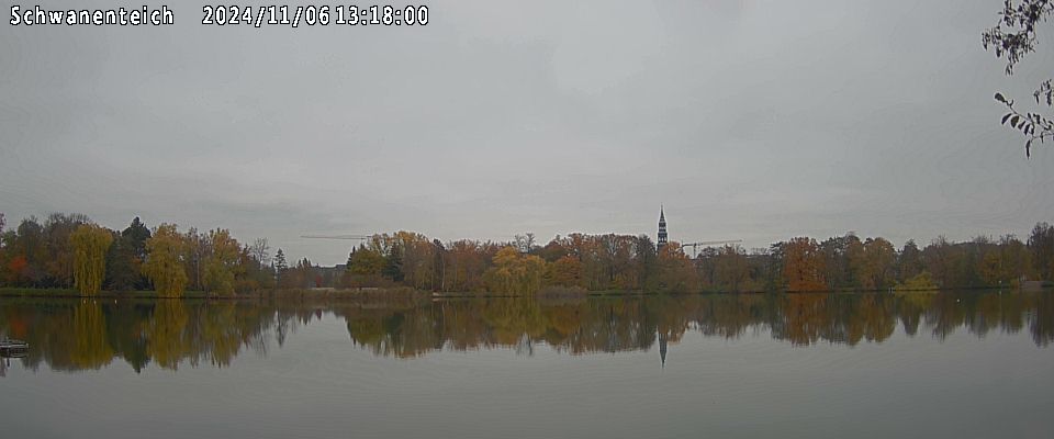 Schwanenteich Webcam