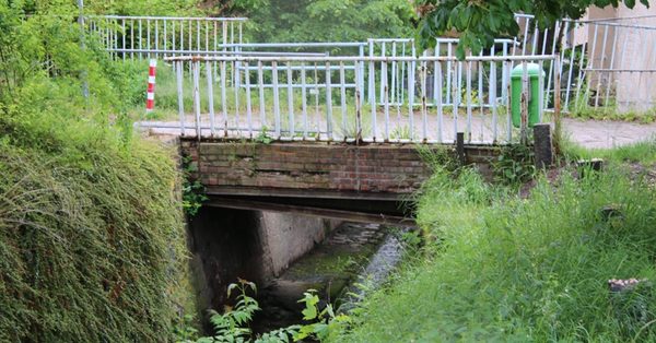 Nach Pfingsten Starten Brucken Und Gehwegarbeiten In Marienthal Stadt Zwickau