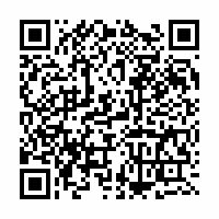 QR Code für Die Kunstsammlungen (wieder-)entdecken