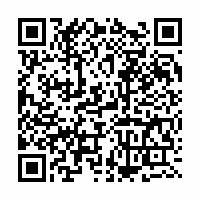 QR Code für Die Kunstsammlungen (wieder-)entdecken