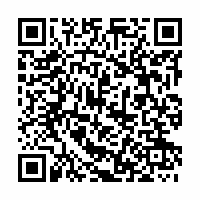 QR Code für Die Kunstsammlungen (wieder-)entdecken