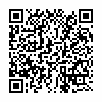 QR Code für Museumsnacht Zwickau