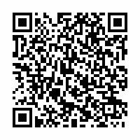 QR Code für Museumsnacht Zwickau